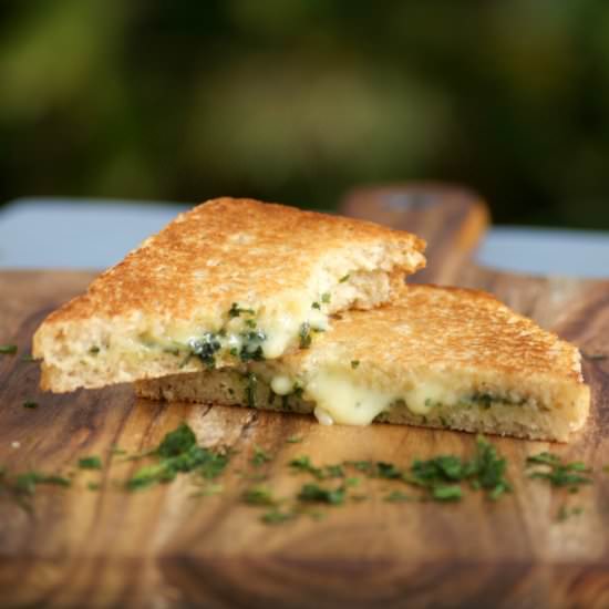 Cheesy Garlic Bread Panini