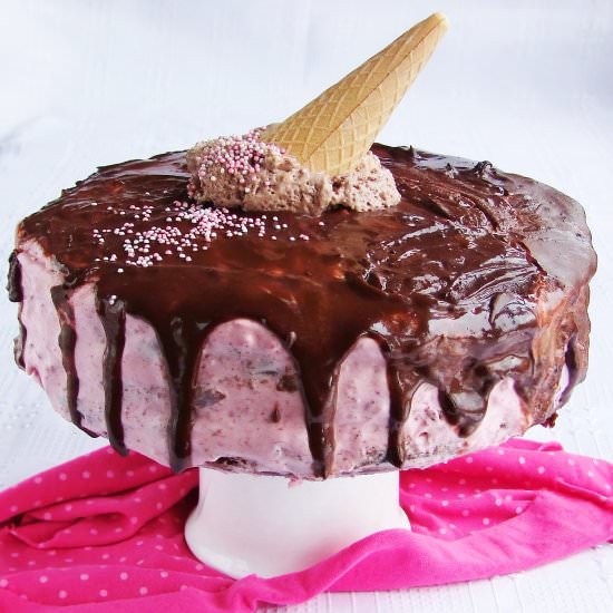 Chocolate-raspberry cake