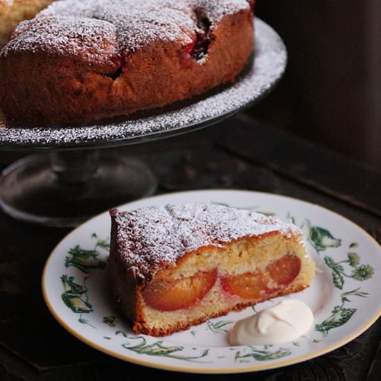 Pip’s Plum Cake