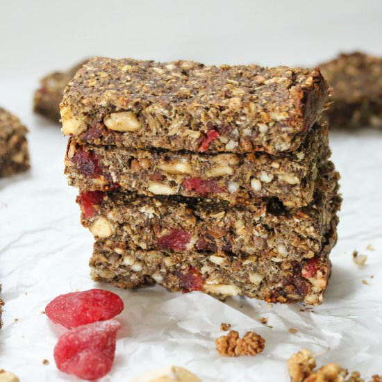 Granola Protein Bars