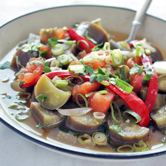 Sour and Spicy Eggplant Stew