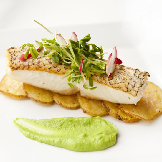 Seared Chilean Sea Bass