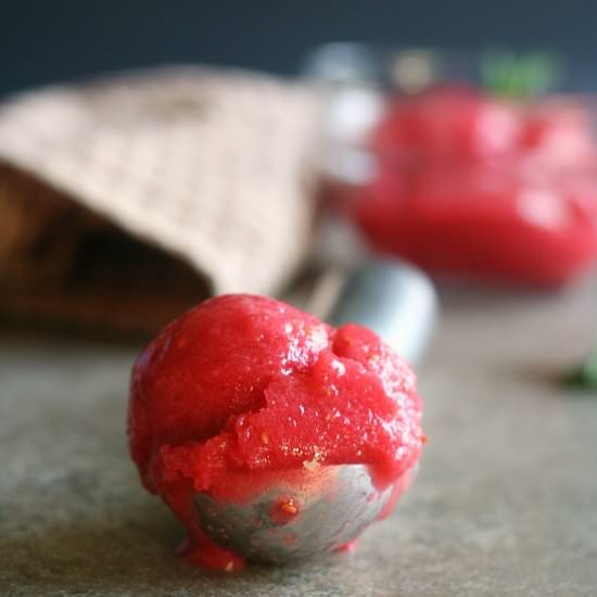 Raspberry Sorbet