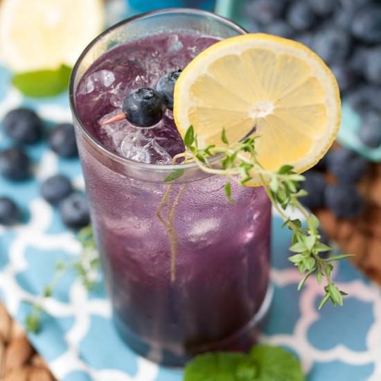 Blueberry-Thyme Gin Smash