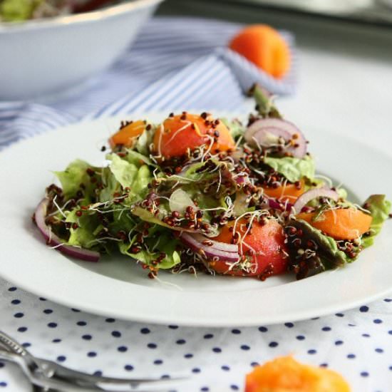 Sprouted Quinoa Salad with Apricots