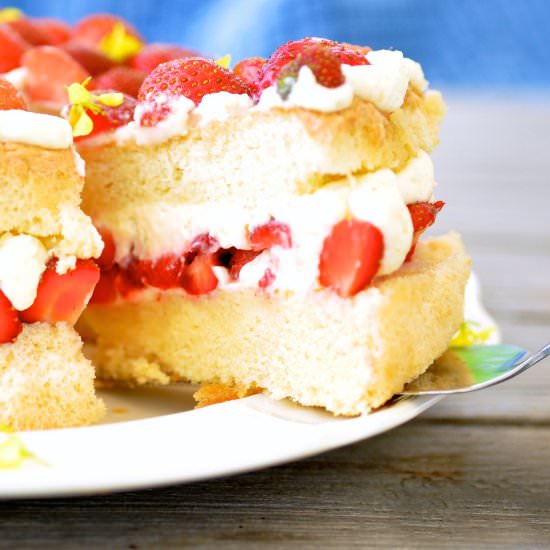 Strawberry Chiffon Cake