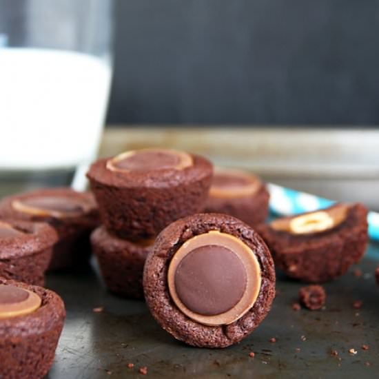 Toffifee (Toffifay) Brownie Bites