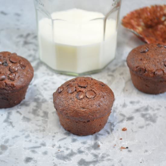Chocolate-Chocolate Chip Muffins