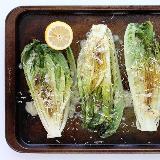 Grilled Romaine w/ Caesar Dressing
