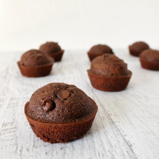 Double Chocolate Muffins