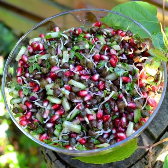 Chaat-style Salad with Sprouts