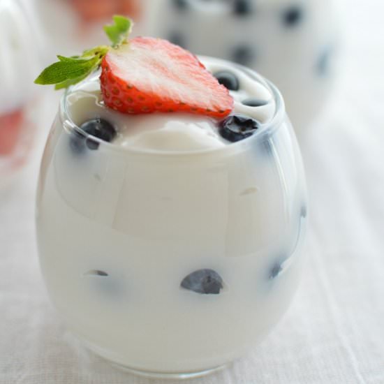 Dairy Free Vanilla Pudding