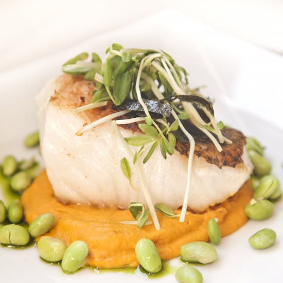 Sea Bass with a Carrot Ginger Puree