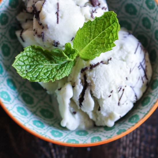 Fresh Mint Gelato
