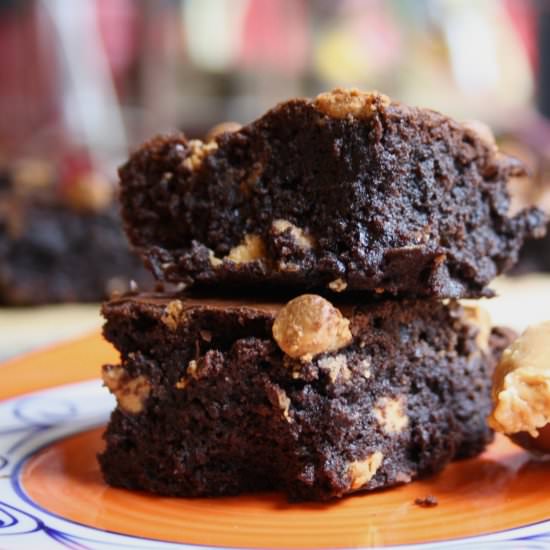 Double Peanut Butter Brownies