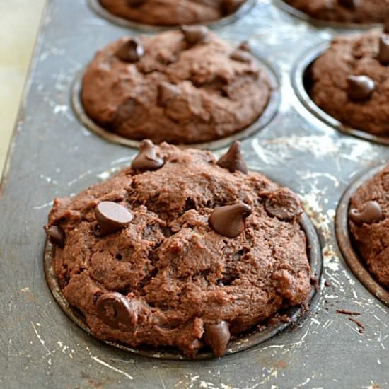 Skinny Double Chocolate Muffins