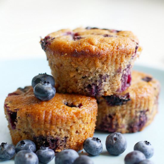 Vegan Blueberry Muffins