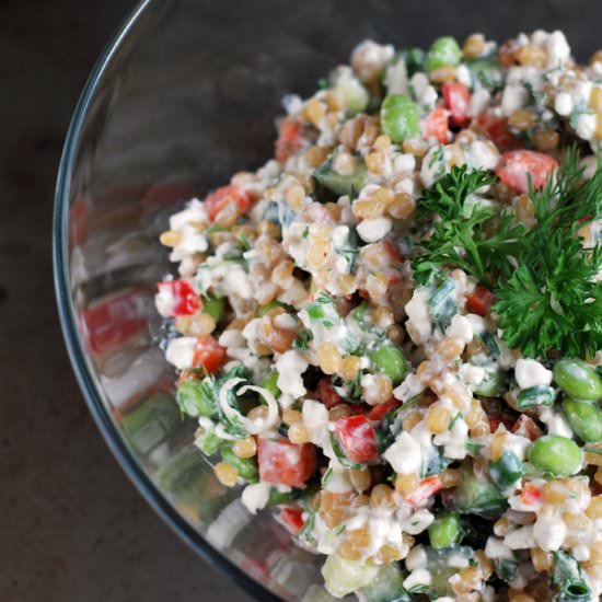 Super Protein Salad