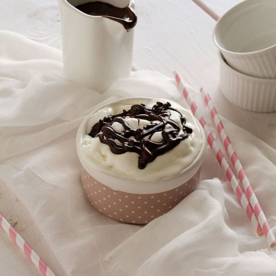 Frozen yogurt