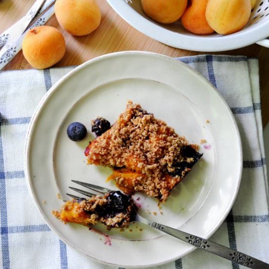 Apricot Blueberry Oat Bars