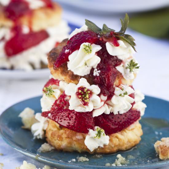 Shortcake using Cream Cheese