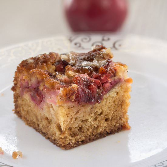Plum Cake with Sugar Coating