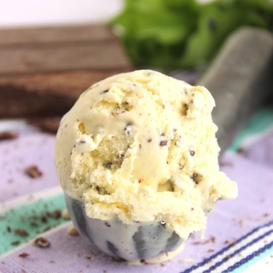 Mint Chocolate Chip Ice Cream