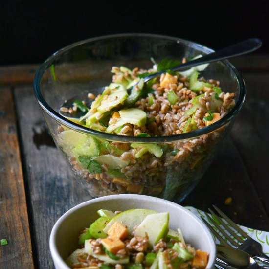Farro, Cheddar, Walnut, Apple Salad