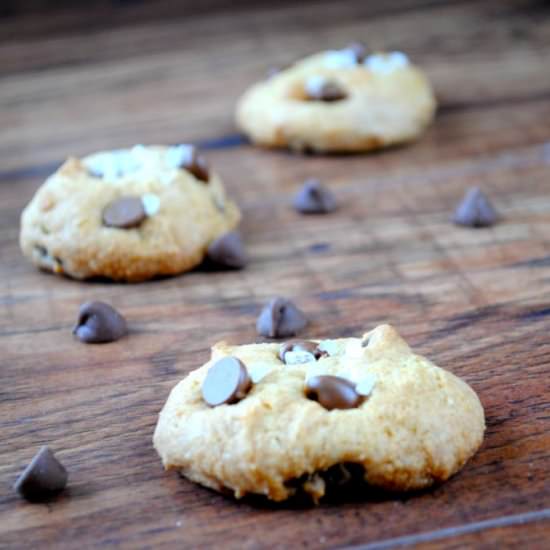 Gluten Free Chocolate Chip Cookies