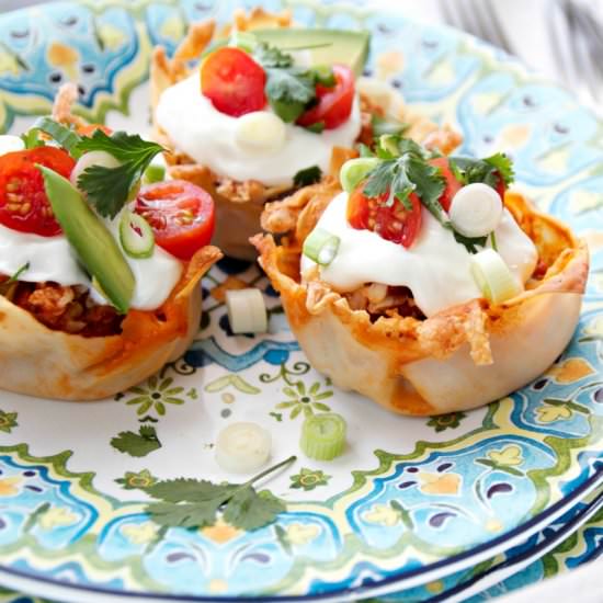 Spicy Mexican Taco Bites