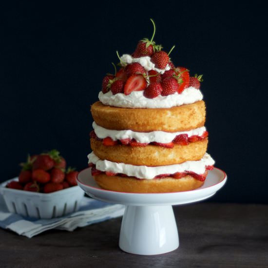 Sky-High Strawberry Shortcake
