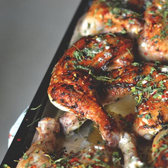 Fenugreek Chili Chicken Thighs