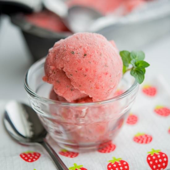 Strawberry Chocolate Mint Sorbet