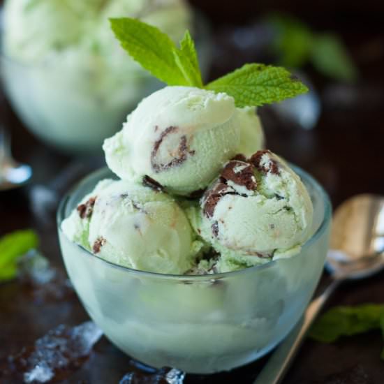 Mint Chocolate Ganache Ice Cream