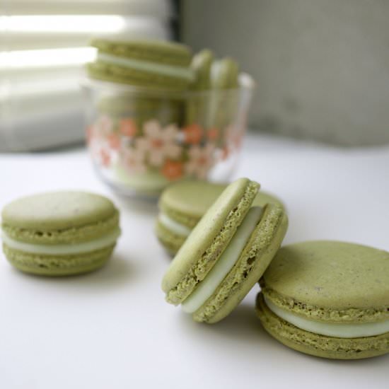 Matcha and White Chocolate Macarons