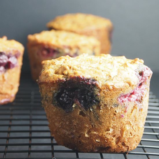 Berry Bran Muffins