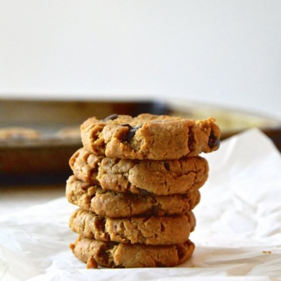 Peanut Butter Chocolate Chip Cookie