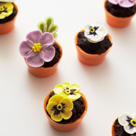 Mini Flower Pot Cakes