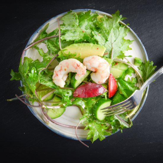 Summer Salad w/ Shrimp & Vinagrette