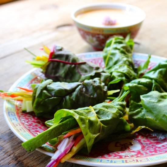 Raw Spring Rolls