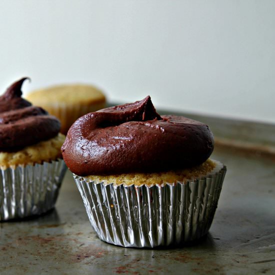 Vanilla Cupcakes, Chocolate Icing