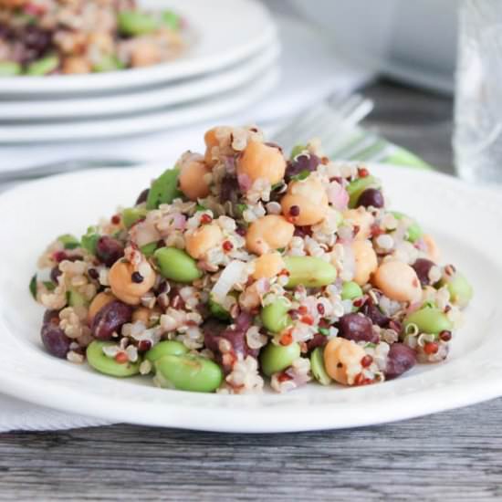 Vegan Three Bean Quinoa Salad