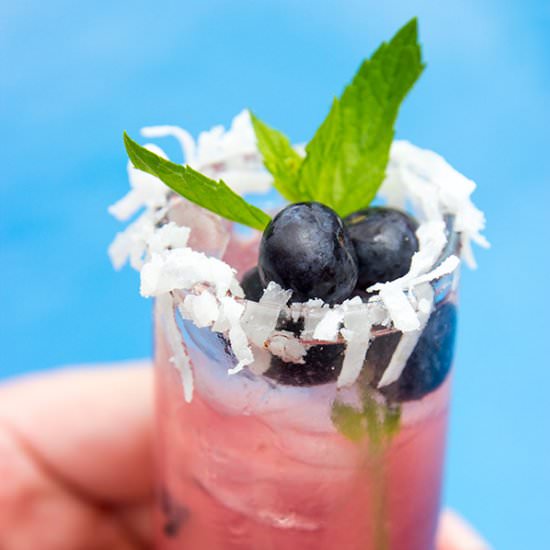 Blueberry Coconut Sparkler