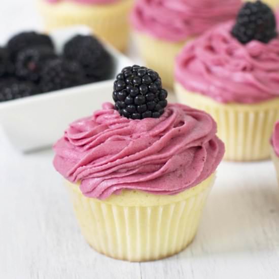 Vanilla Cupcakes with Blackberry