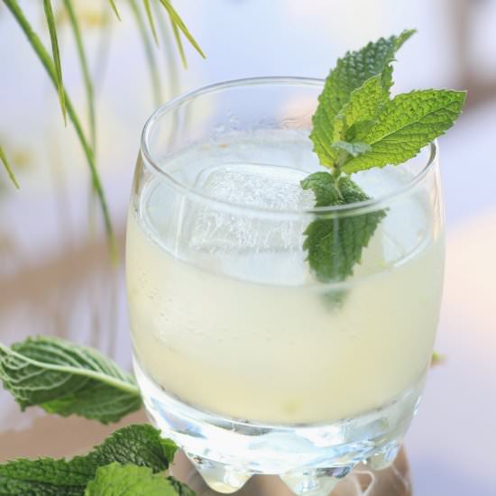 Ginger Ale Sour
