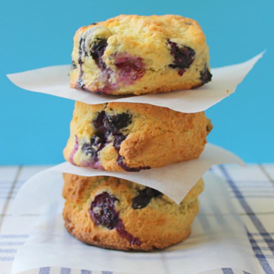 Blueberry Scones