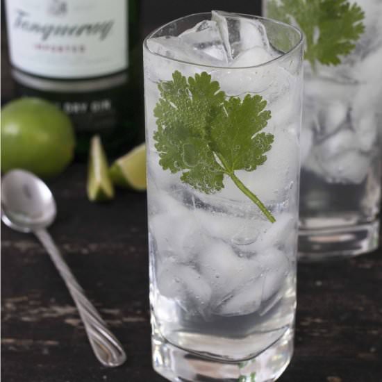 Cilantro Lime Gin & Tonic
