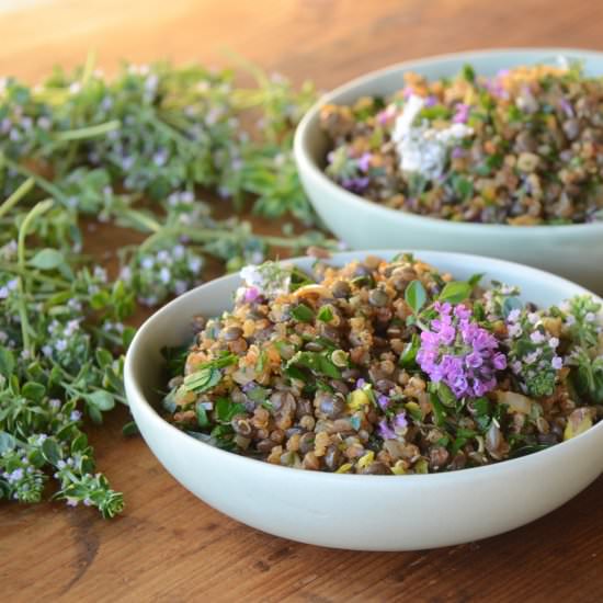 Lentil and Quinoa with herb flowers