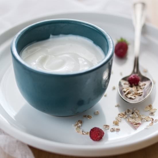 Homemade Greek Yogurt