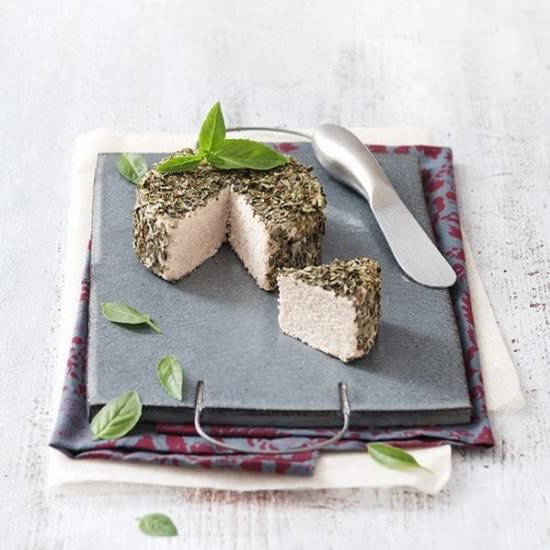 Raw Macadamia Cheese